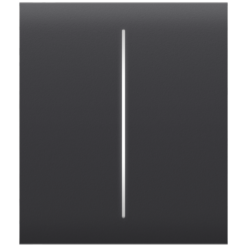 AJAX | Lichtschalter | Smart Home | Zweifachschalter | Graphit | CenterButton (2-gang)